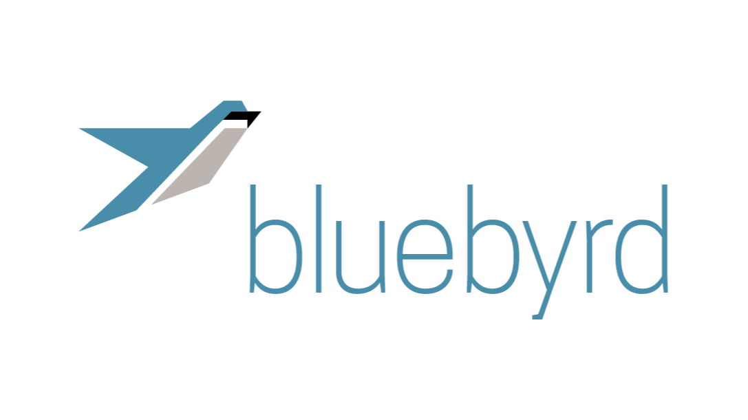 BlueByrd Strategic Sales & Marketing